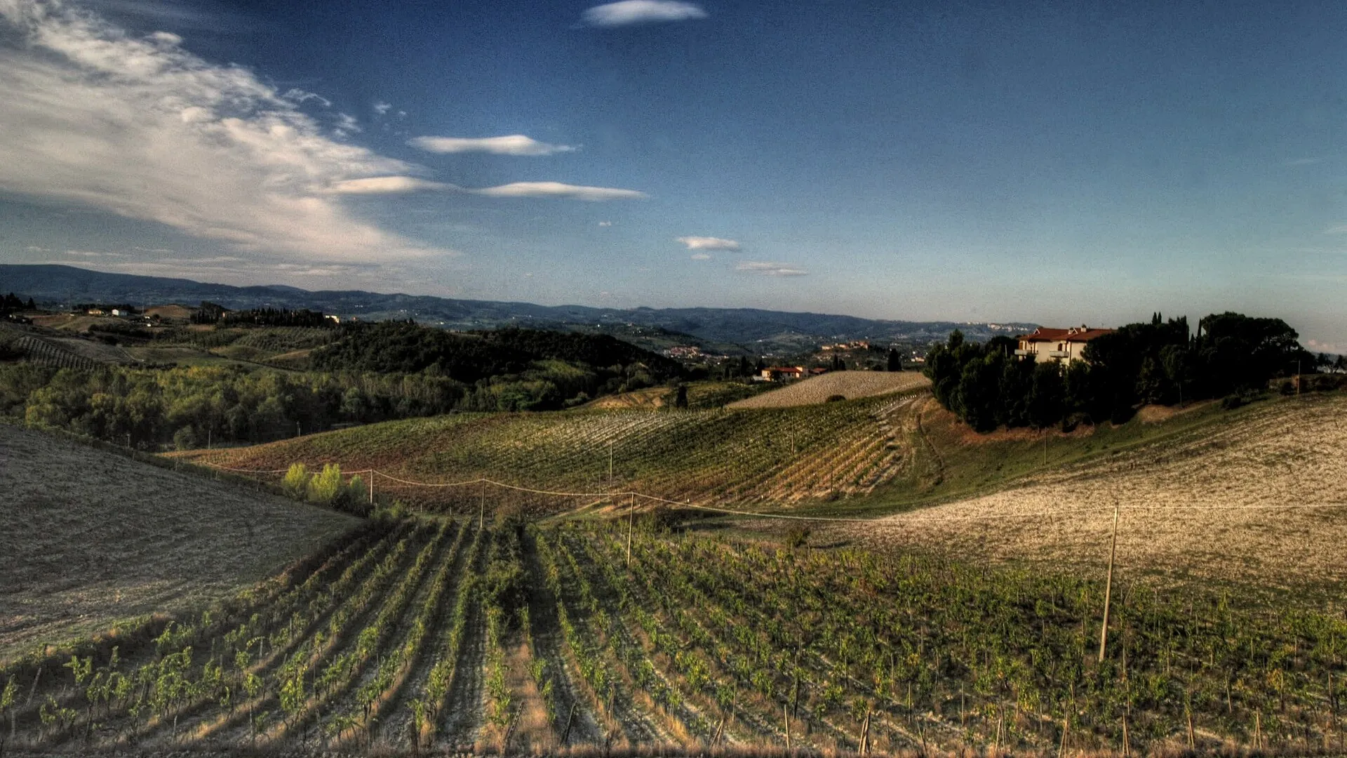 La Petrosa, Radda in Chianti (Toscana)