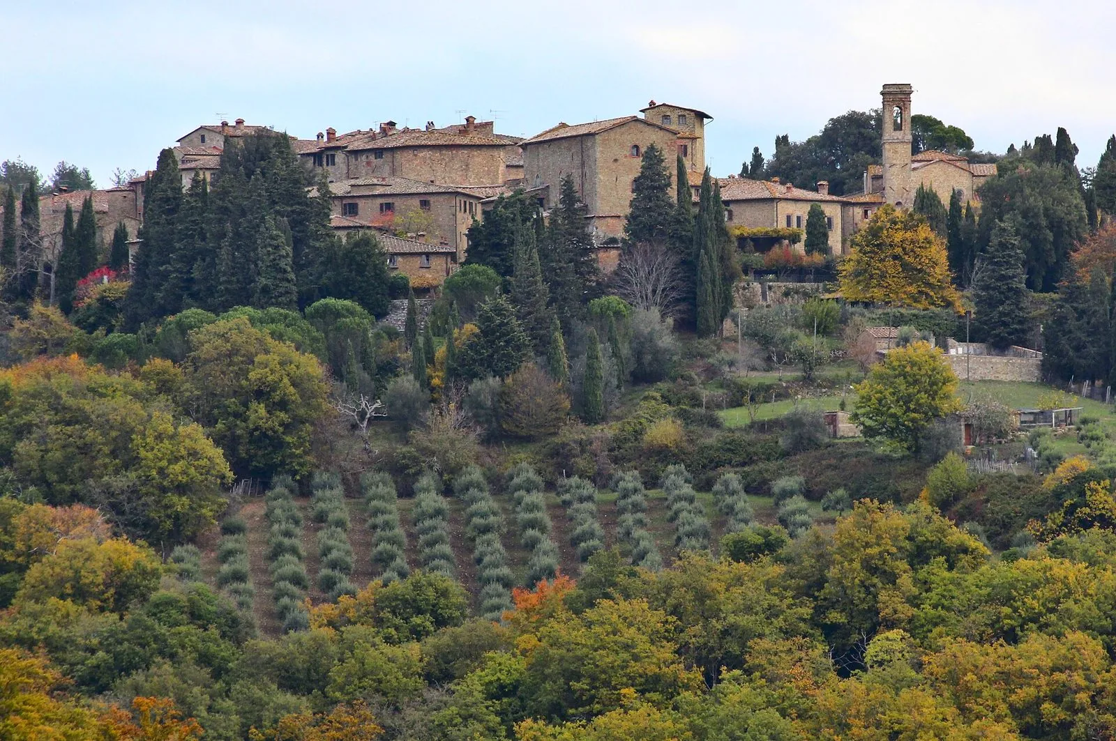 Il borgo di Volpaia in pietra con torre e campanile in cima a una collina boscosa, cipressi e filari di olivi in autunno