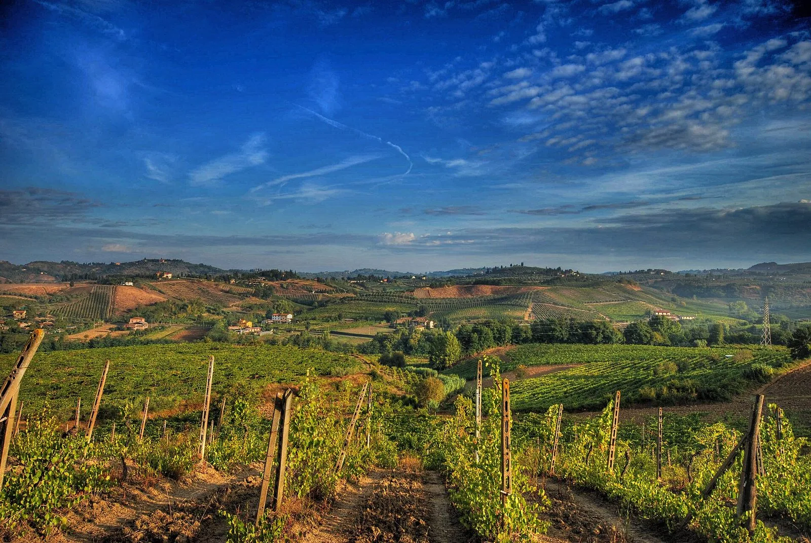 Filari di vigna in primo piano e colline toscane coltivate a vigneto sotto un ampio cielo azzurro striato di nuvole